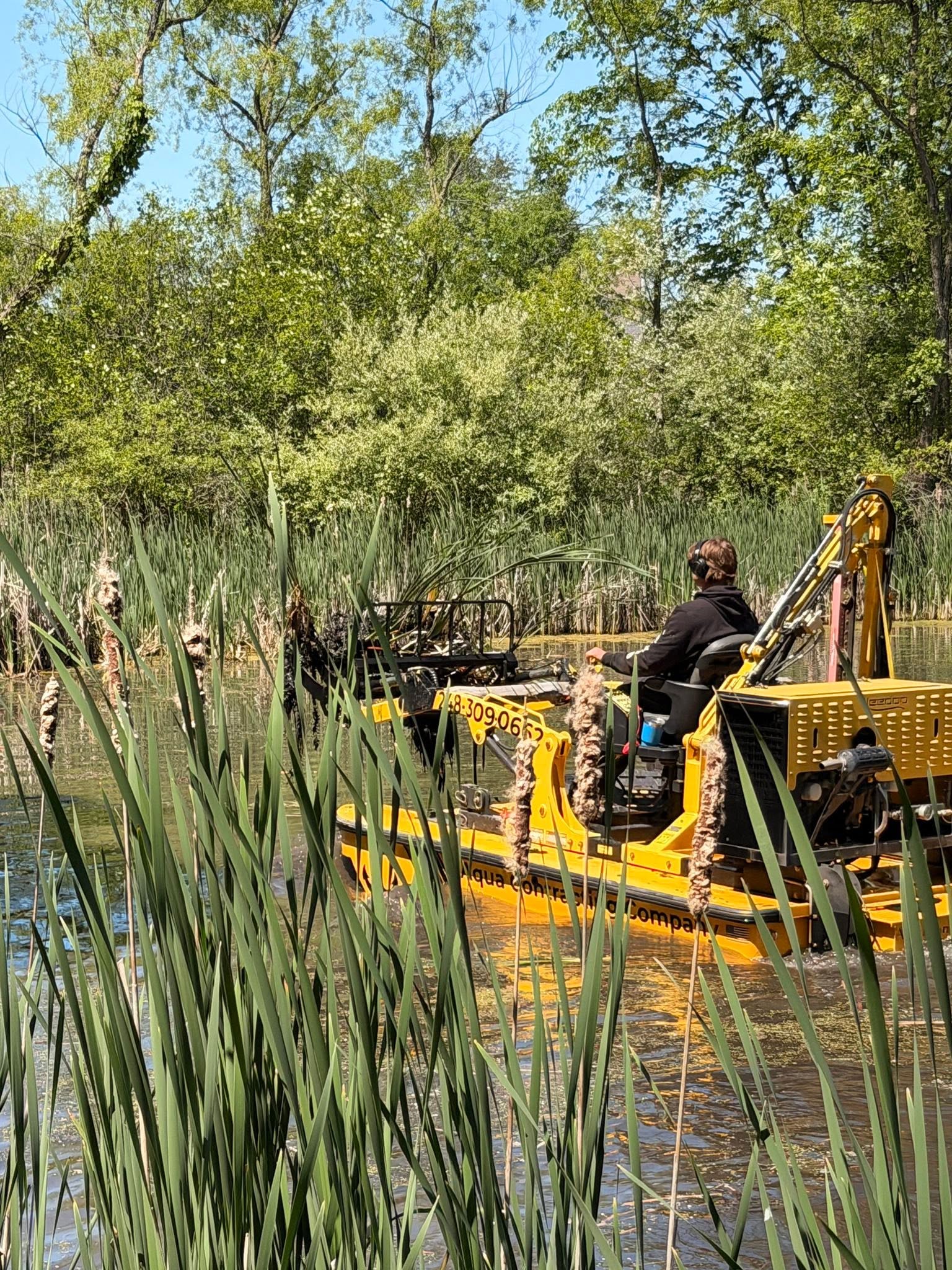 Lake Weed Root Removal on a Michigan lake