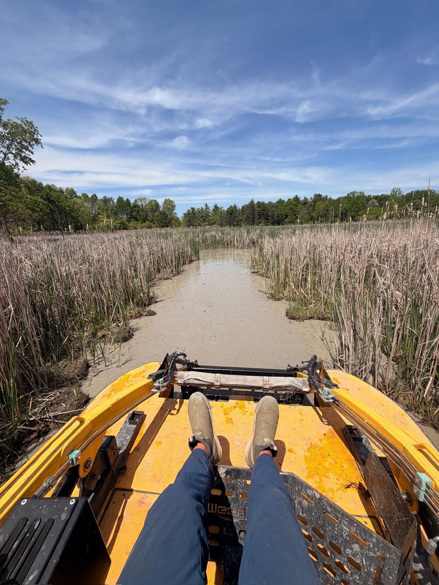 Lake Weed Cutting & Harvesting project photo 4